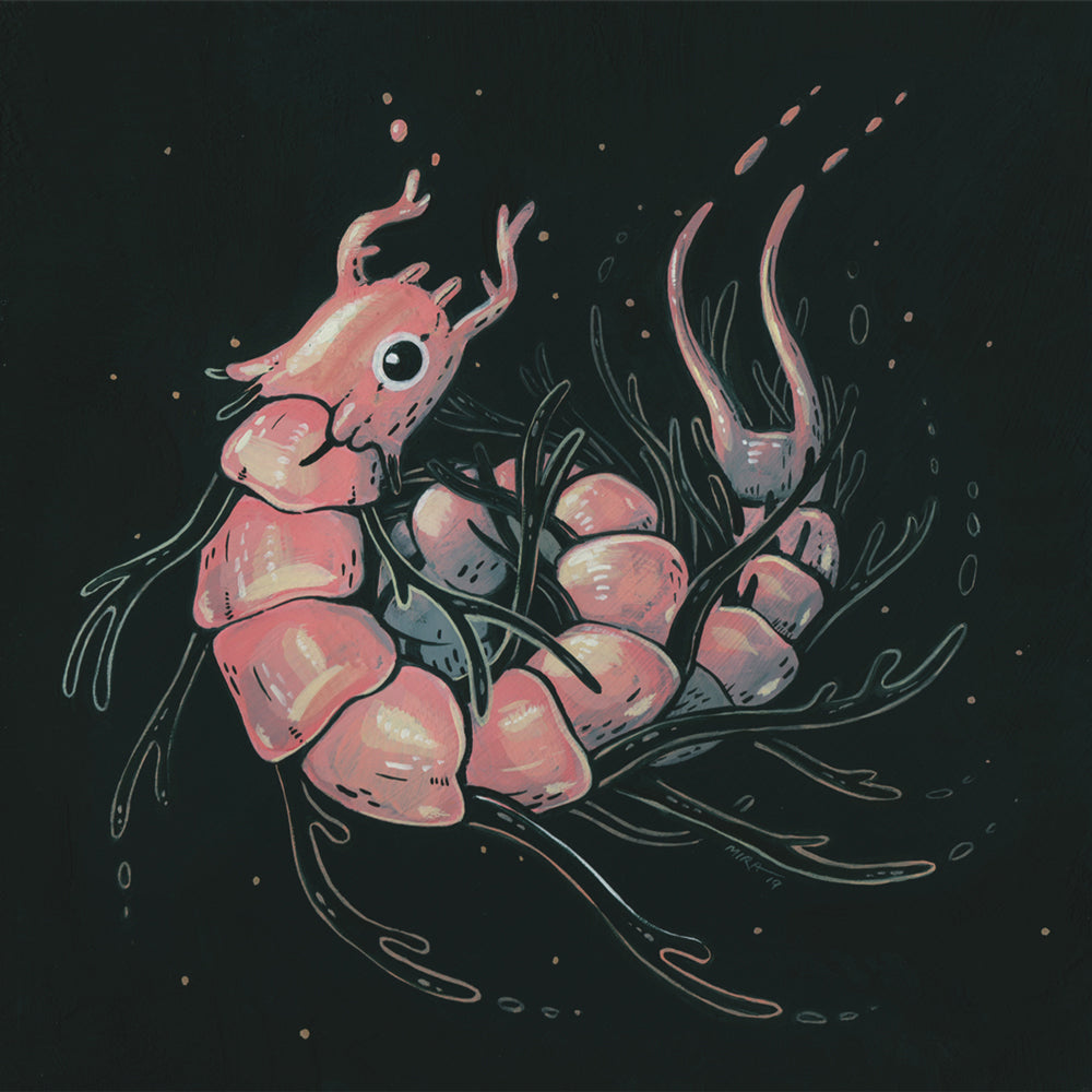 Miranda Zimmerman - Segmented