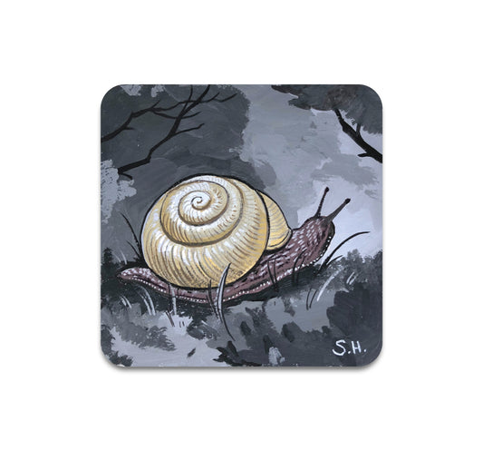 S3 Shawn Hebrank - Above The Dirt Coaster