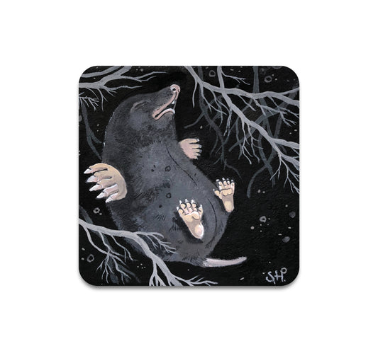 S3 Shawn Hebrank - Roots Coaster