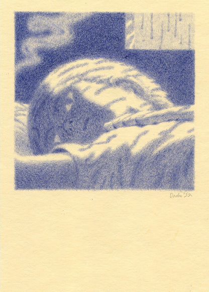 Dadu Shin - Staying in Again