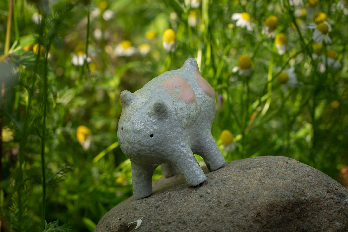 コージーキッチン - ス・タマ