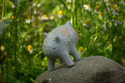 コージーキッチン - ス・タマ