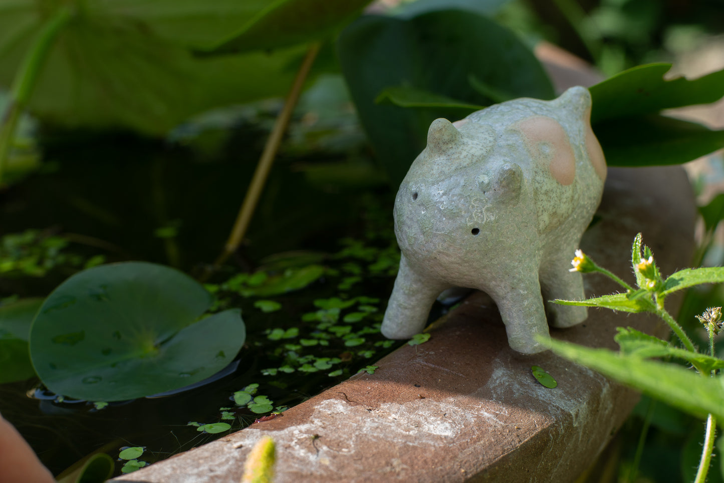 コージーキッチン - ス・タマ