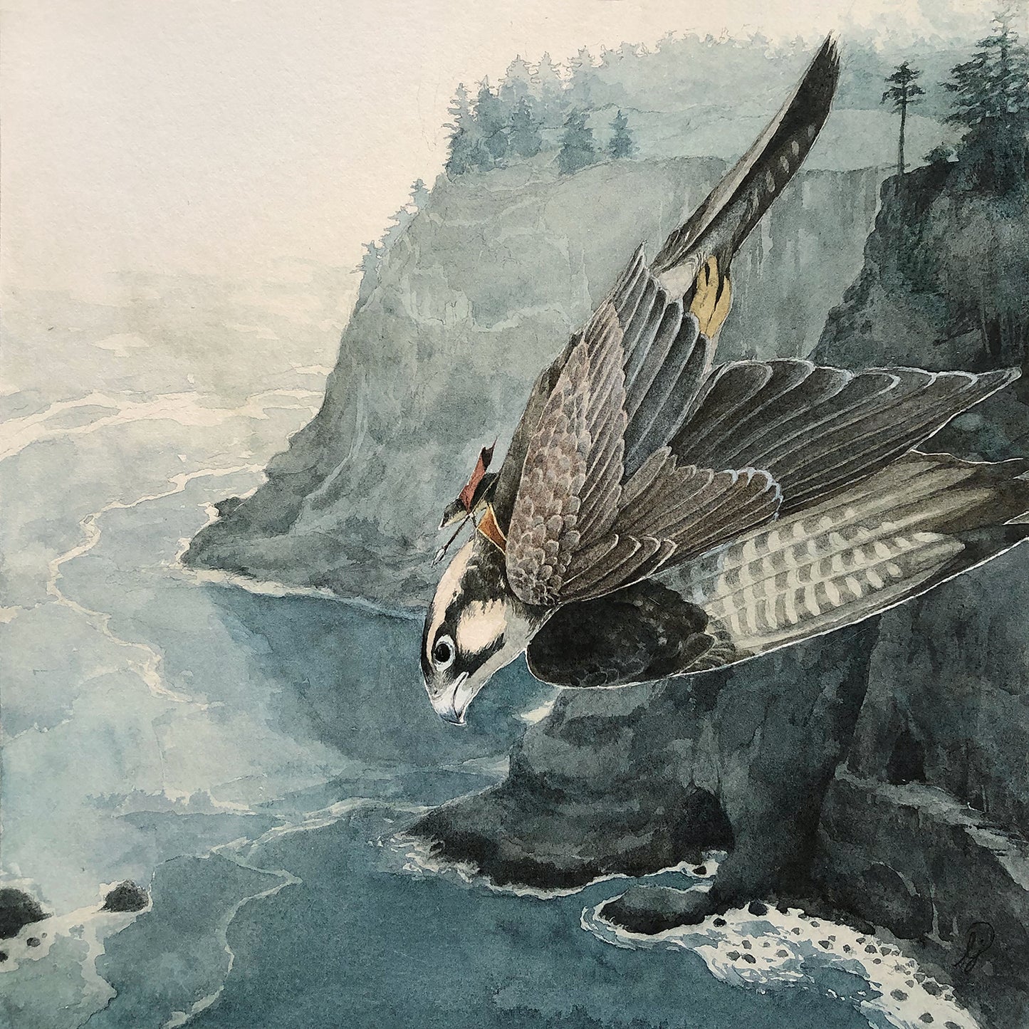 Lily Seika Jones - Cliffs Print