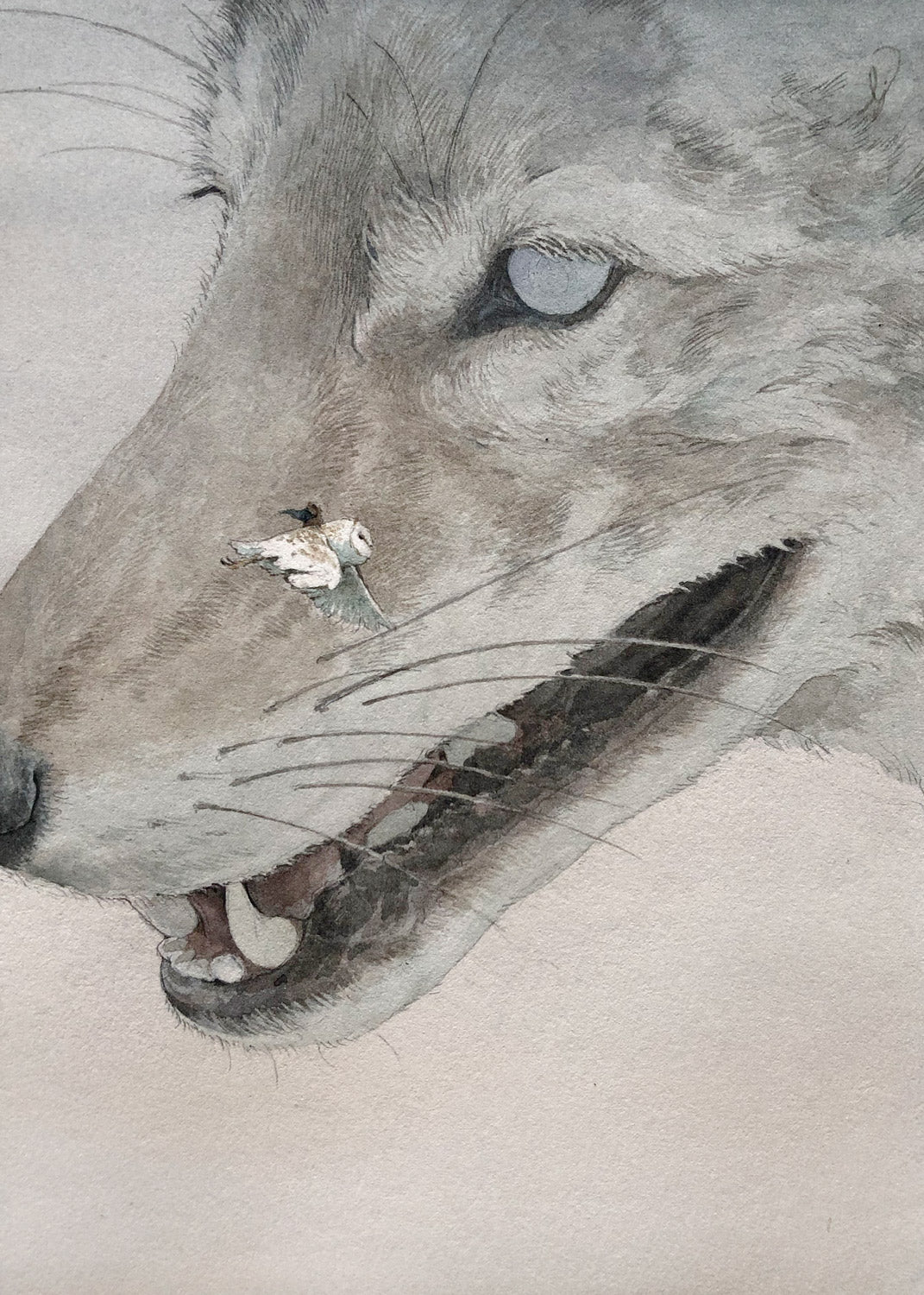 Lily Seika Jones - Astraeus