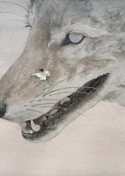 Lily Seika Jones - Astraeus