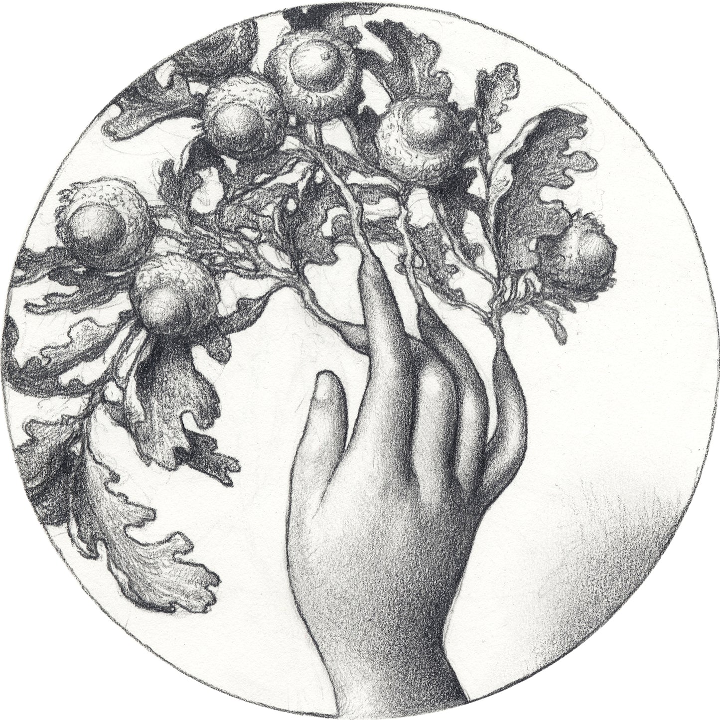 Kristin Kwan - Under the Nails