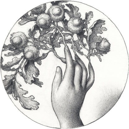 Kristin Kwan - Under the Nails