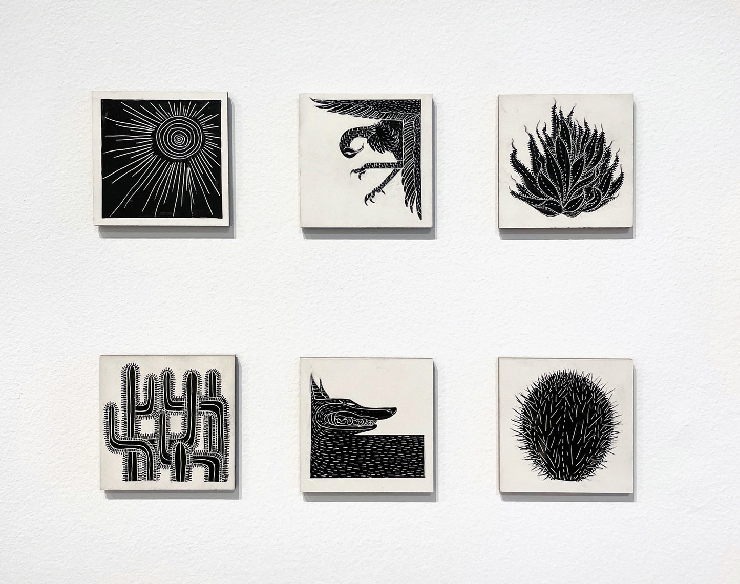 Cristina Bencina - Cactus Maze