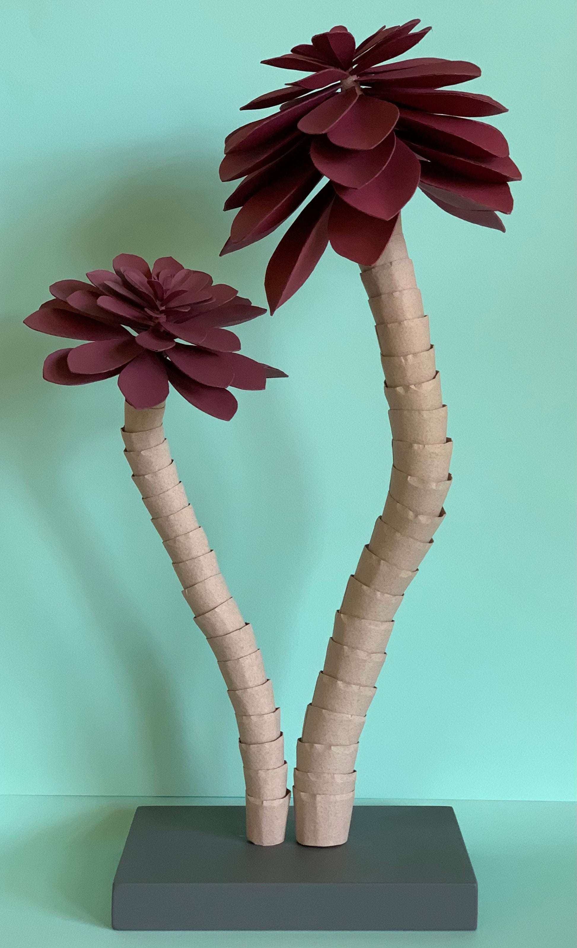 maroon succulent Cat Johnston