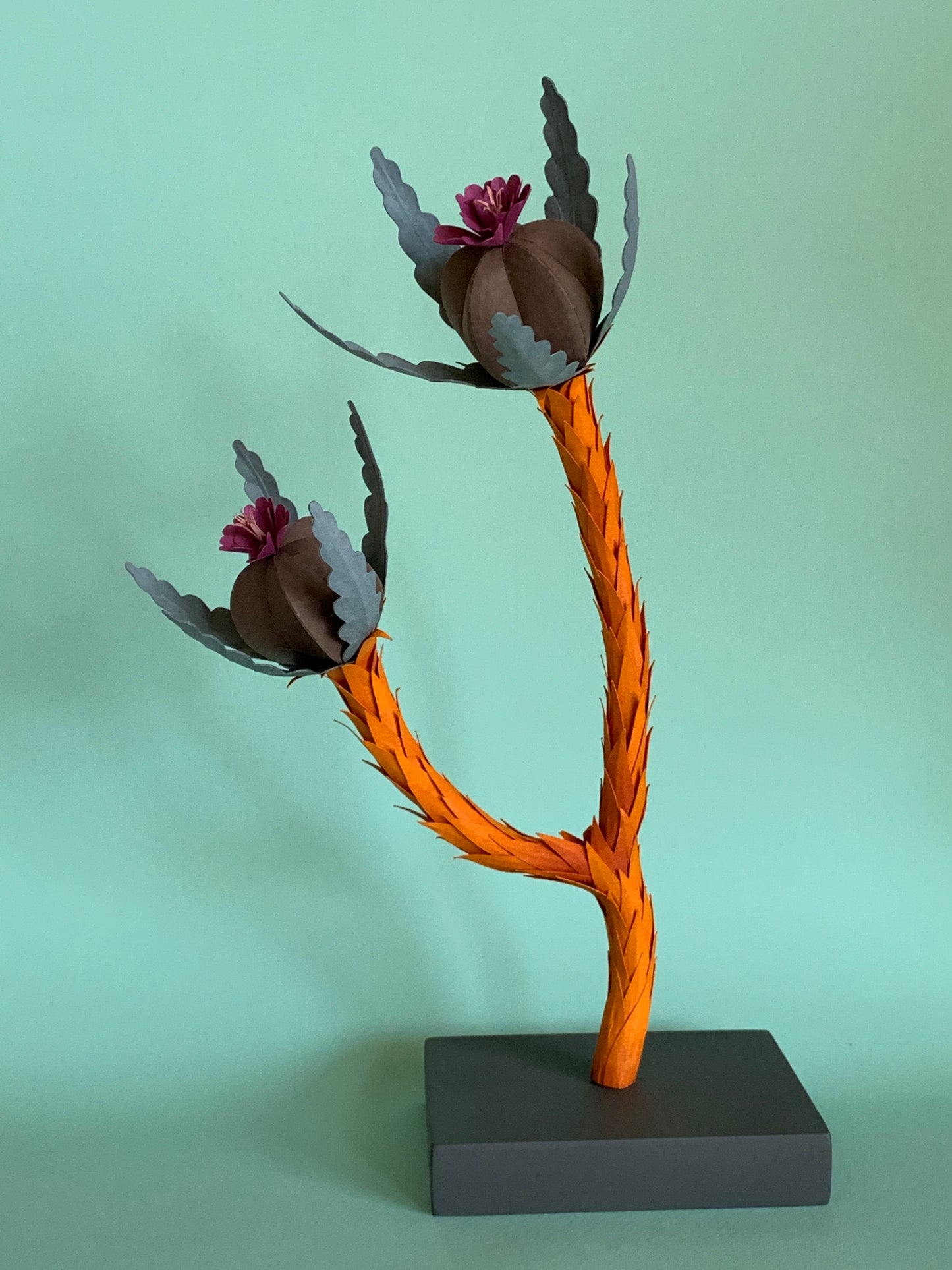 Cat Johnston - Orange Stem Plant (2 Stems)