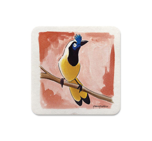 S4 Jeremy Costello - 2 Coaster