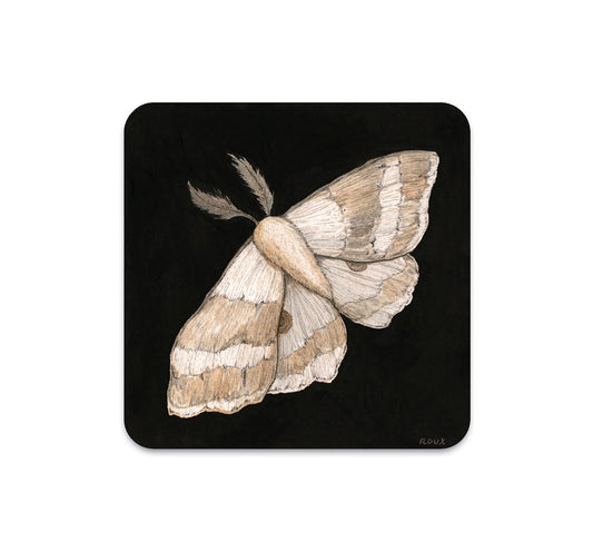 S4 Jessica Roux - 3 Coaster