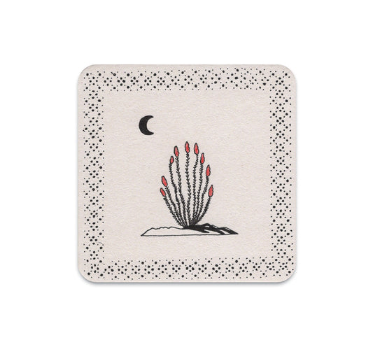 S4 Josh Minnich - 6 Coaster