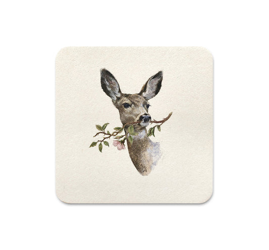 S4 Lily Seika Jones - 3 Coaster