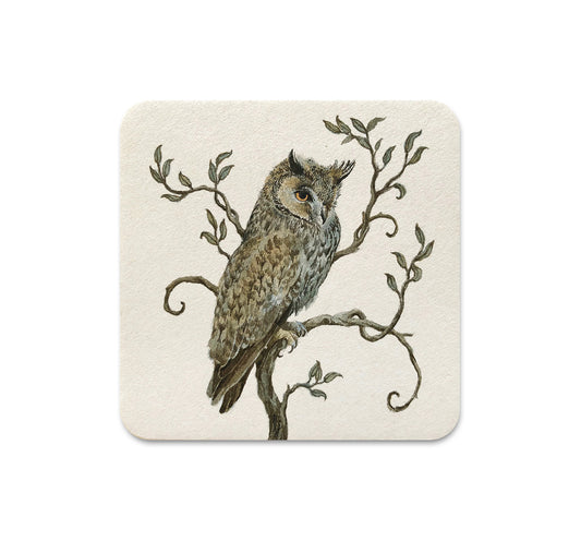 S4 Lily Seika Jones - 5 Coaster