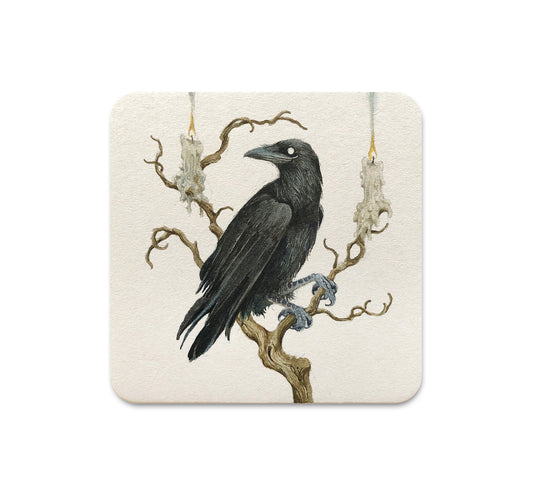 S4 Lily Seika Jones - 6 Coaster