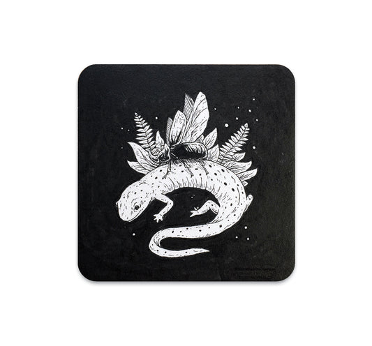 S4 Logan Schmitt - 1 Coaster