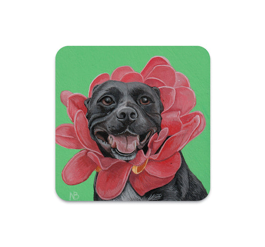 S4 Nicole Bruckman - 2 Coaster