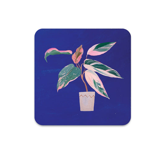 S4 Tintist - 6 Coaster