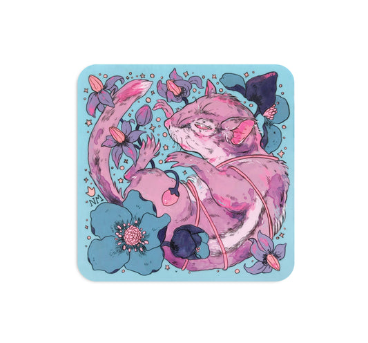 S4 Niky Motekallem - 2 Coaster