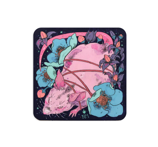 S4 Niky Motekallem - 3 Coaster