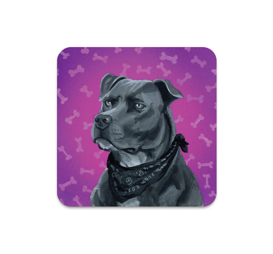 S5 パトリック・マシューズ - コースター 1 枚