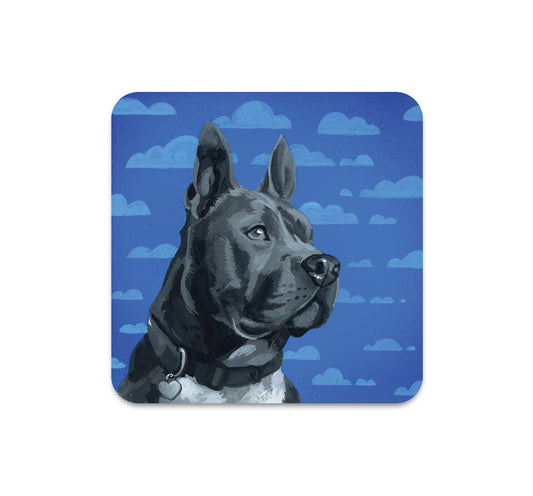 S5 Patrick Mathews - 4 Coaster