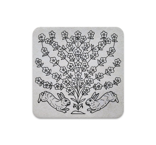 S5 ジョシュア・ミニッチ - 2 コースター