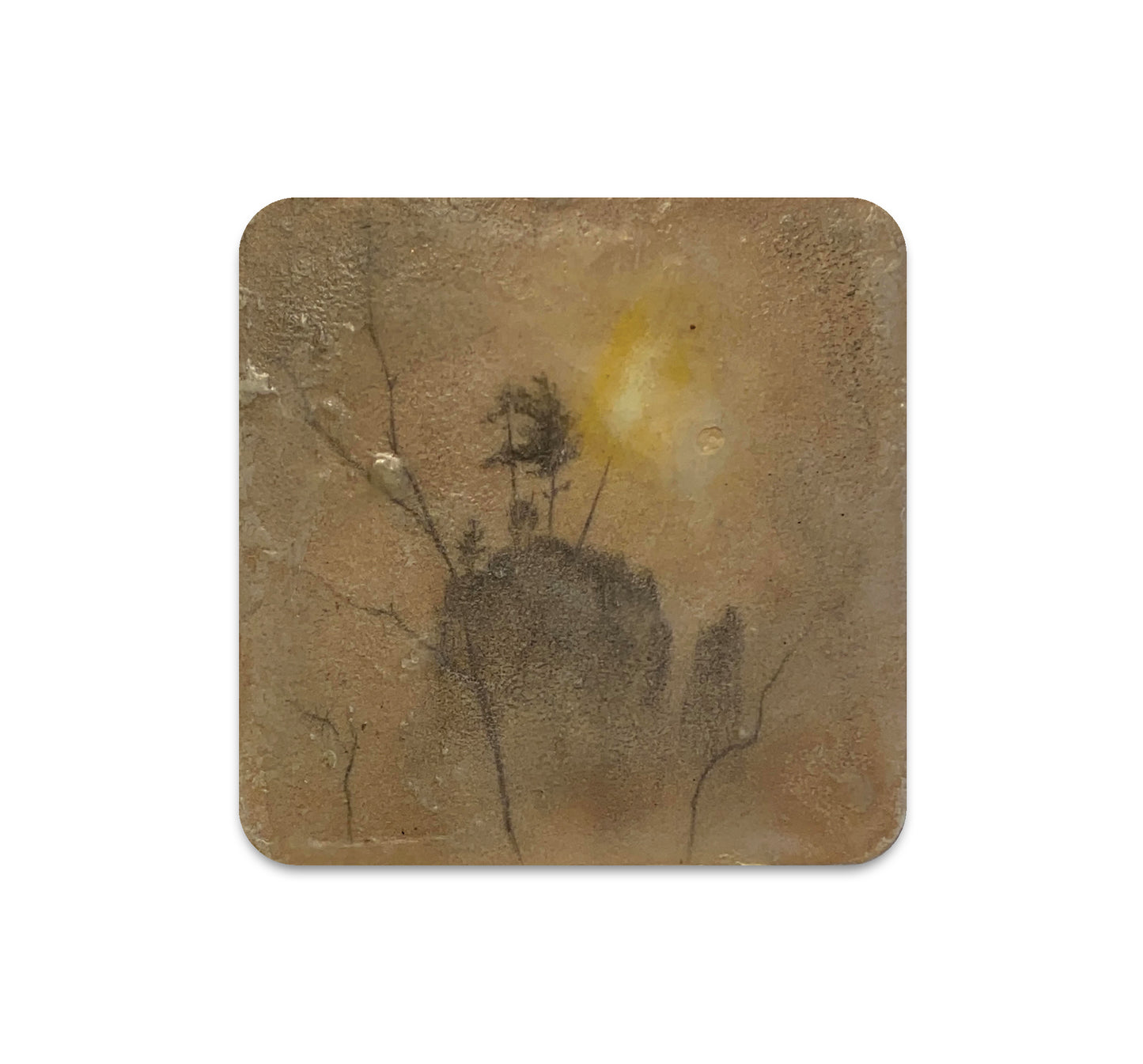 S6 Brooks Salzwedel - Coaster 2