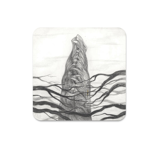 S6 Corinne Reid - Coaster 1