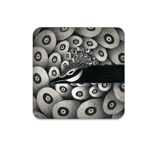 S6 Cristina Bencina - Coaster 2