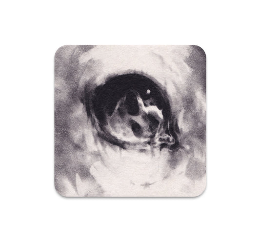 S6 ダスティ・レイ - コースター 1