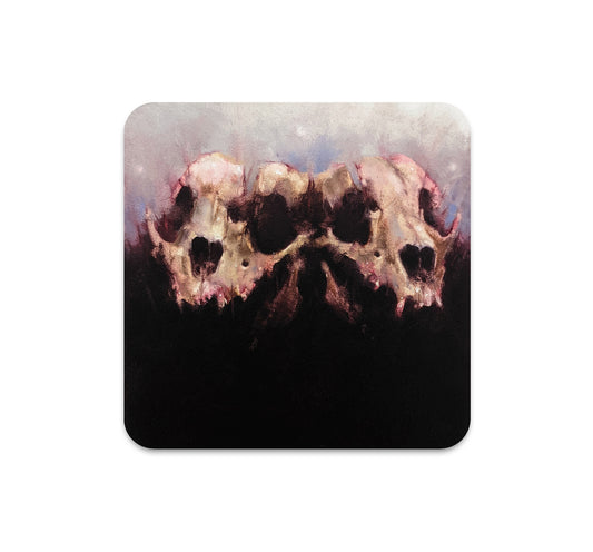 S6 ダスティ・レイ - コースター2