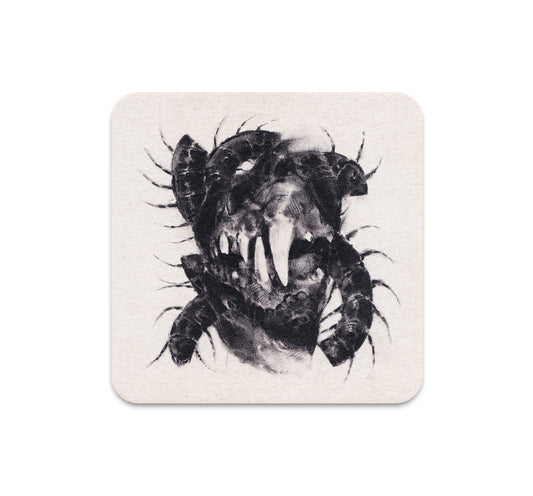 S6 ダスティ・レイ - コースター4