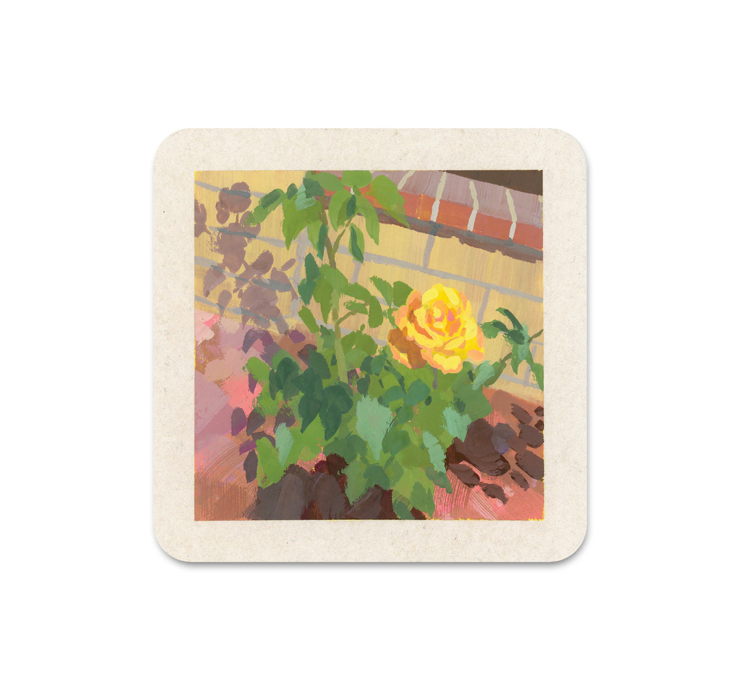 S6 Jennifer Wang - Coaster 5