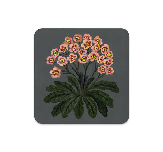 S6 Kelly Louise Judd - Coaster 2