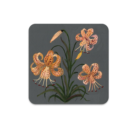 S6 Kelly Louise Judd - Coaster 4