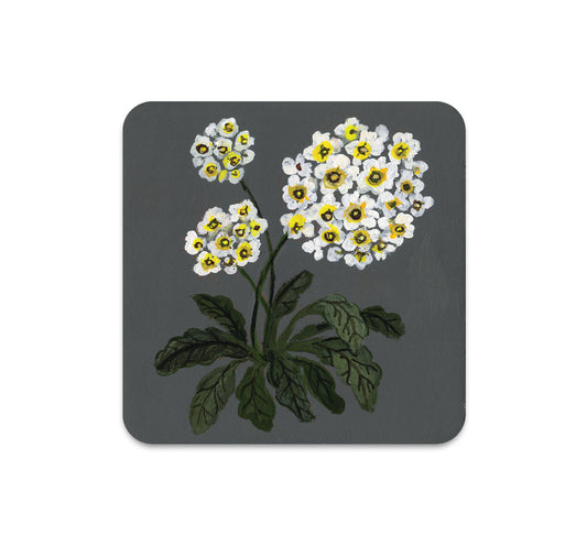 S6 Kelly Louise Judd - Coaster 5