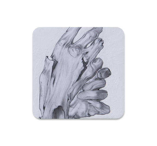 S6 Lachlan Herrick - Coaster 3