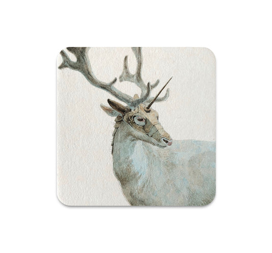 S6 Lily Jones - Coaster 2