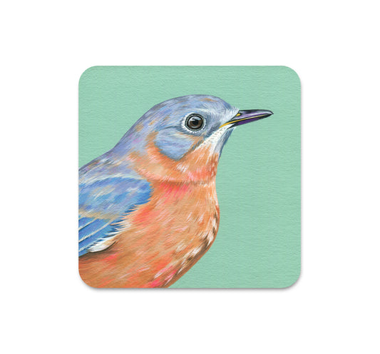 S6 Liz Clayton Fuller - Coaster 1