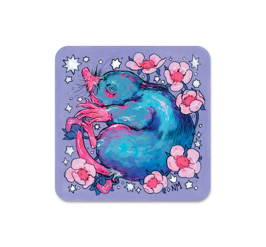 S6 Niky Motekallem - Coaster 1