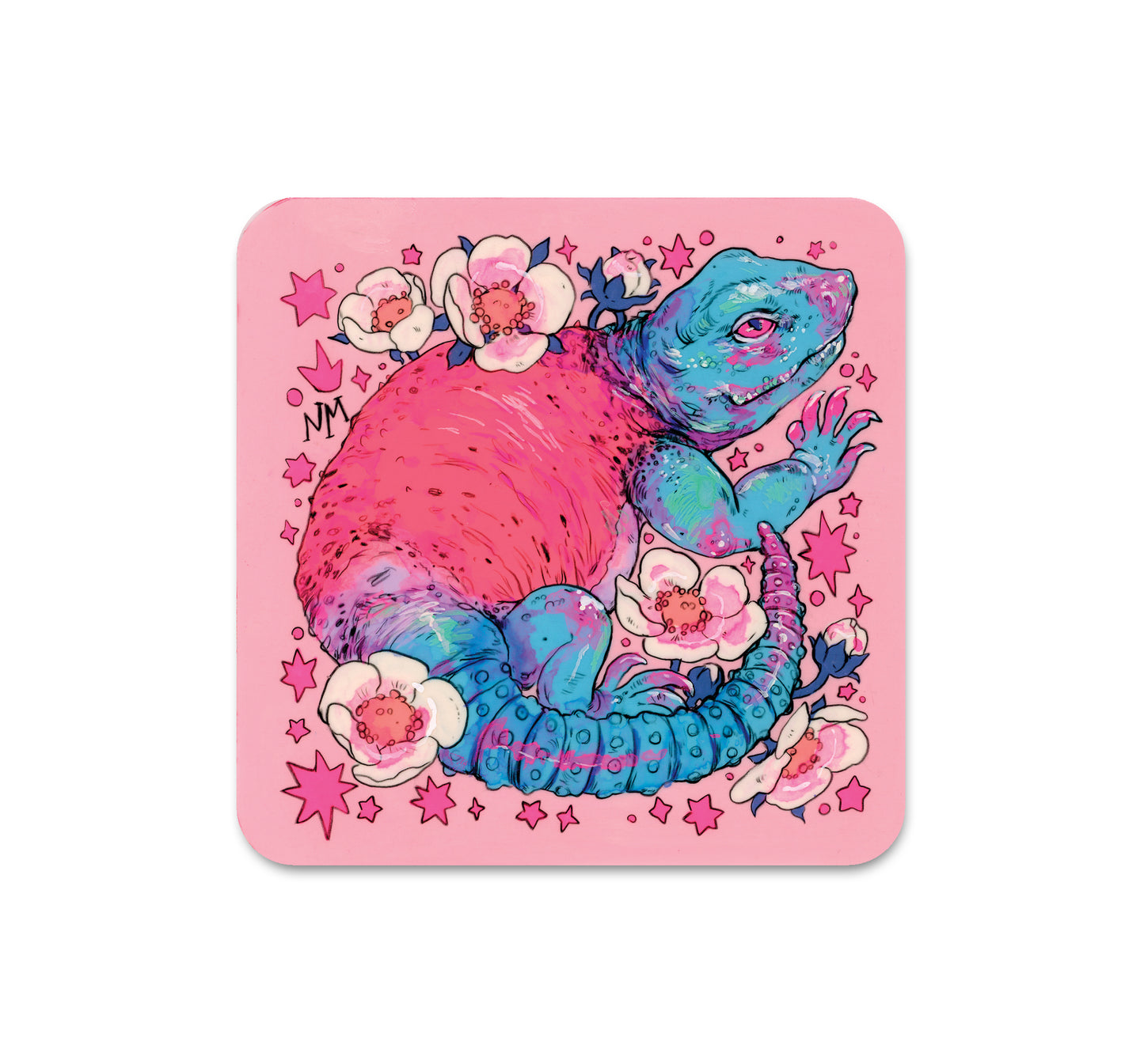 S6 Niky Motekallem - Coaster 3