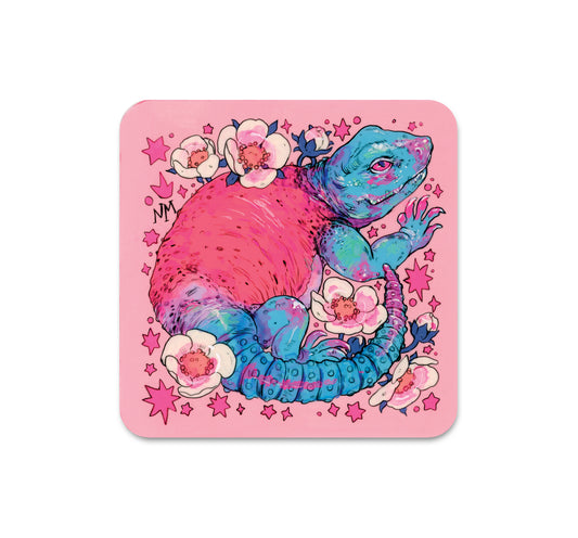 S6 Niky Motekallem - Coaster 3