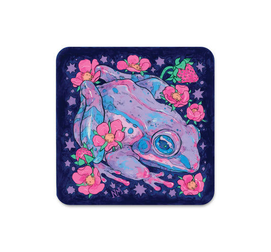 S6 Niky Motekallem - Coaster 4