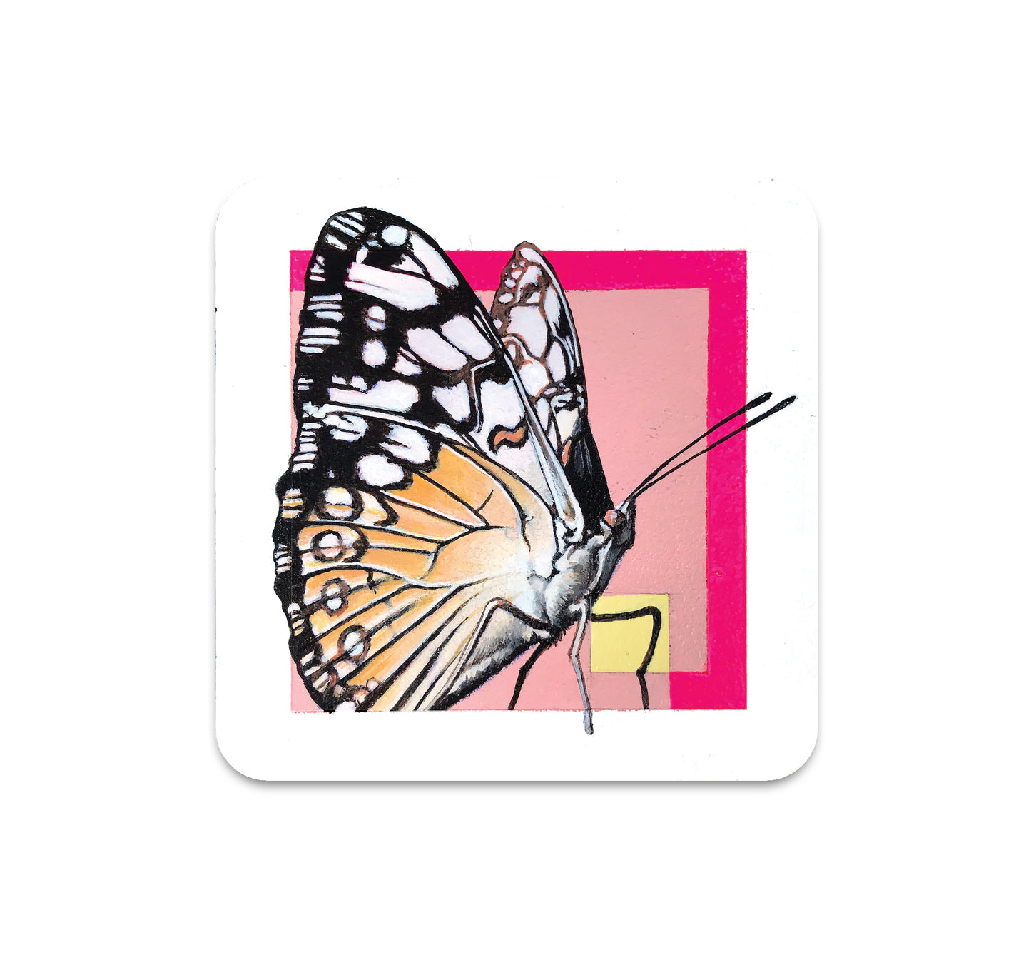 S6 Steve Martinez - Coaster 1