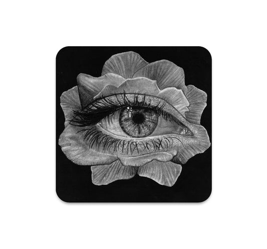 S6 ザック・マイヤー - コースター 1