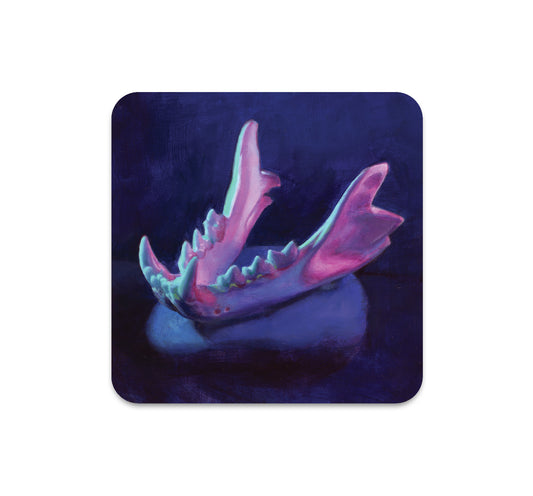 S6 Tegan Bellitta - Coaster 3