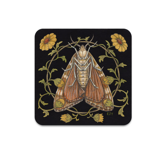 S7 Elizabeth Jean Younce - Coaster 7